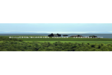 糖心vlog 司雨：糖心vlog花季传媒(\