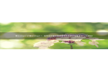 糖心vlog类似的视频：糖心vlog3.1(\